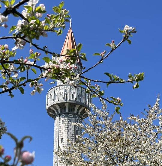 Mjesec Ša'ban - mejdan pripreme za  Ramazan