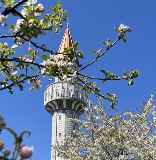 Međunarodni dan planete Zemlje – Naša odgovornost prema Allahovoj blagodati