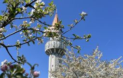 Sloboda i samopouzdanje uz pouzdanje u Allaha dž.š.